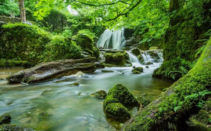 高标准高标准